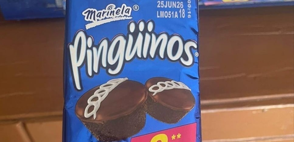 Pinguinos